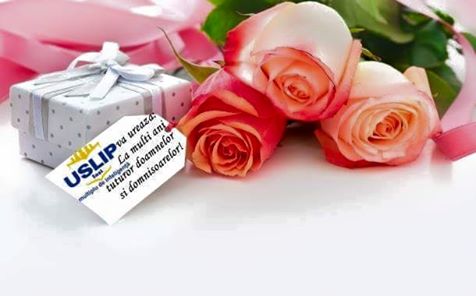 12802767 878722118916744 5747990239003197148 n